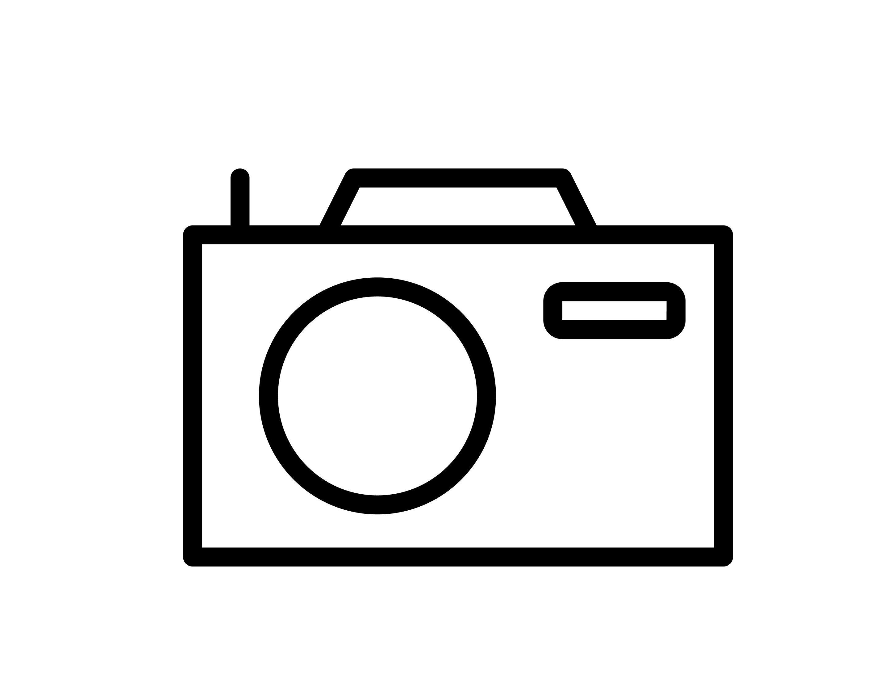 Analytics & Reporting